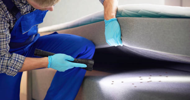 Best Mosquito Control Services  in Joshua, TX