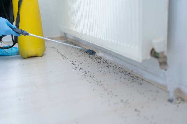 Best Affordable Pest Control Services  in Joshua, TX