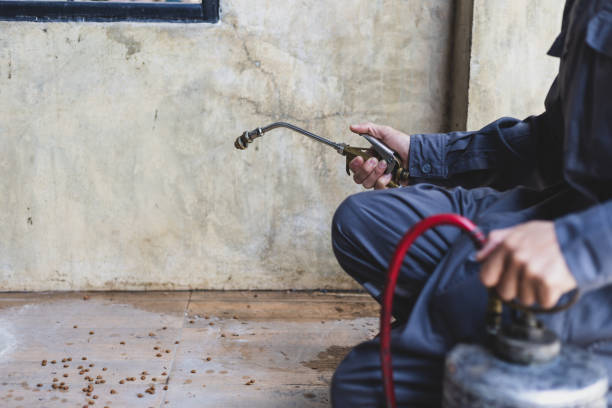 Wasp Removal Services in Joshua, TX